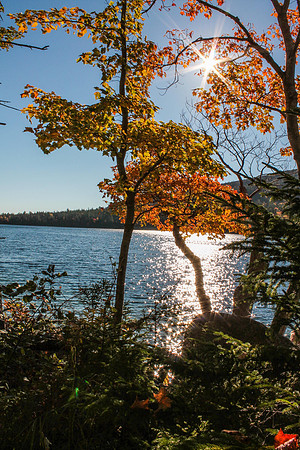 maine-8426.jpg