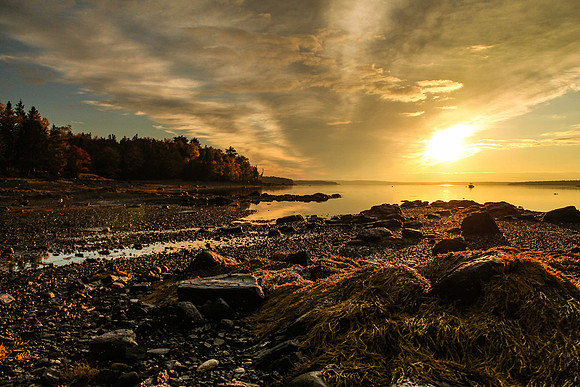Acadia Sunset