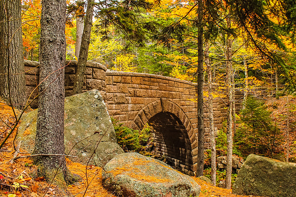 Carriage Road Bridge in Acadia National Park