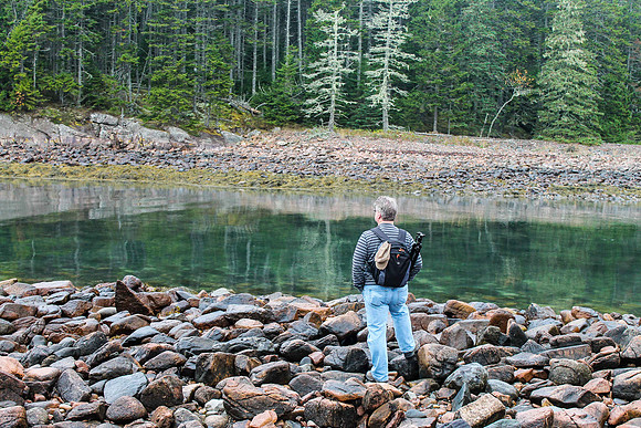 Reflection - Mount Desert Island