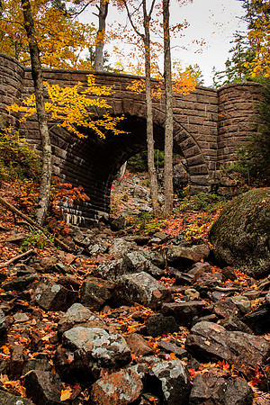 maine-8854.jpg