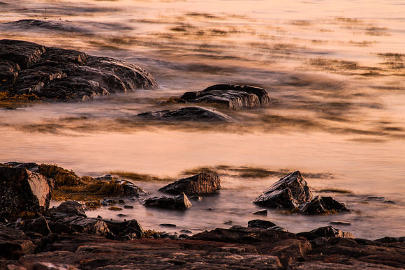 maine-8784.jpg