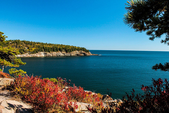 maine-7984.jpg