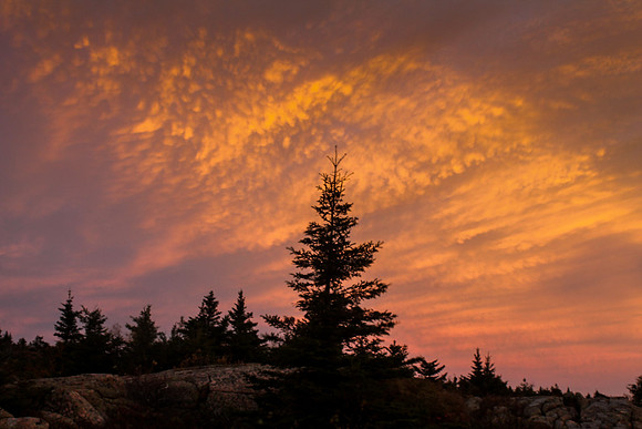 maine-9048.jpg