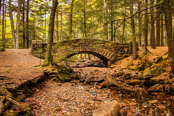 maine-8693.jpg