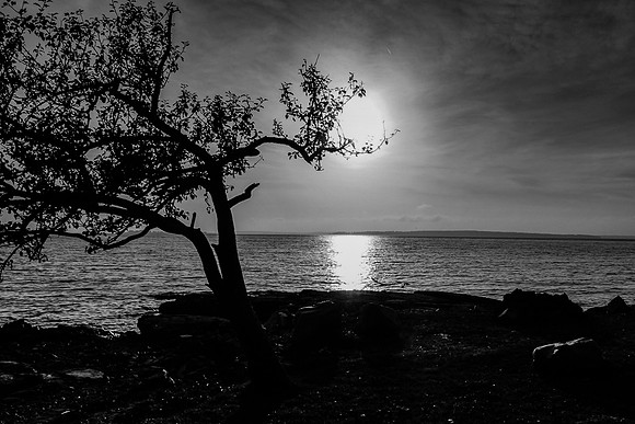 maine-8721-Edit.jpg