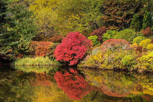 maine-8956.jpg