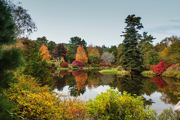 maine-8948.jpg