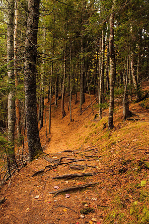 maine-8656.jpg