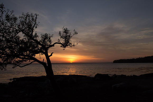 maine-8759.jpg