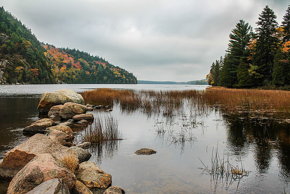 maine-9441.jpg