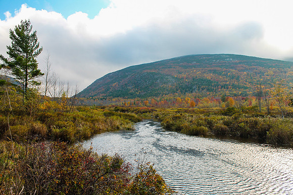 maine-9471.jpg