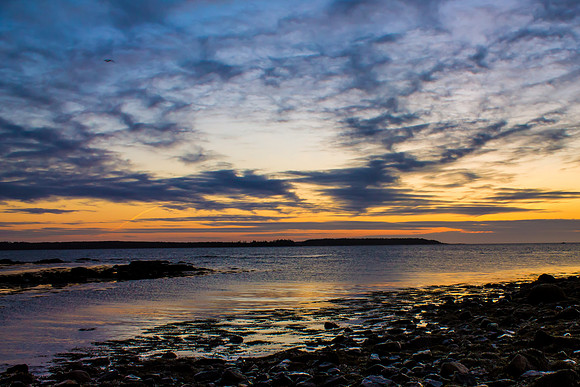 maine-8487.jpg