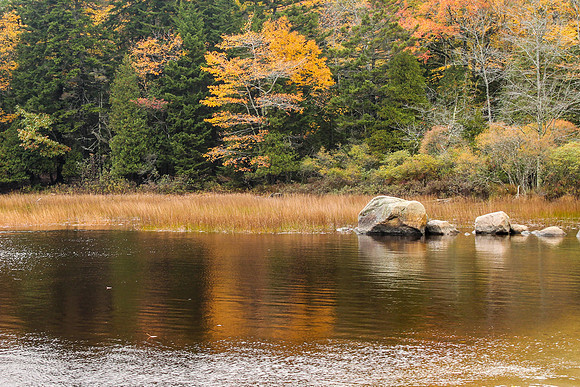 maine-9433.jpg