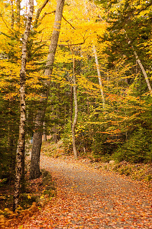 maine-8686.jpg